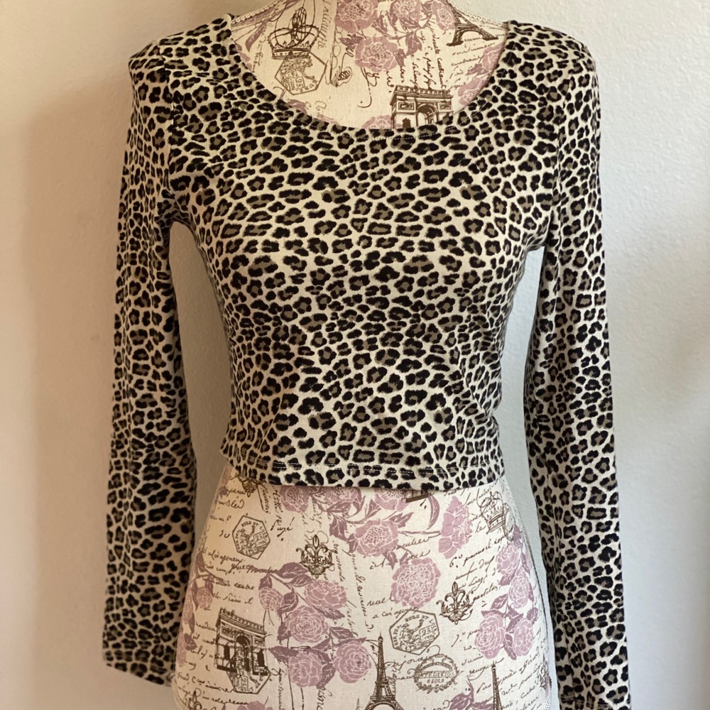 Cheetah print long sleeve crop top